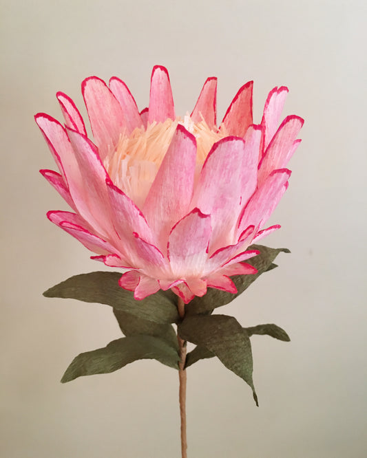 King protea paper flower
